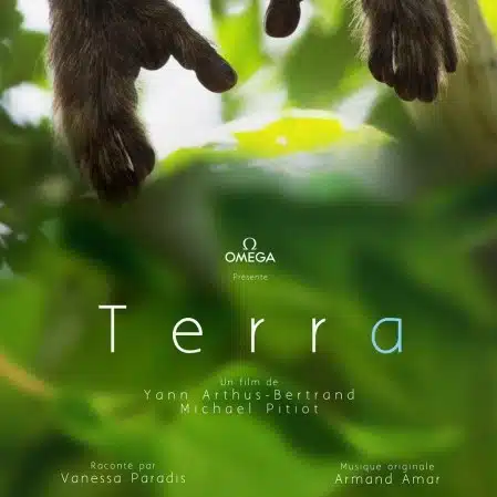 Projection : Terra