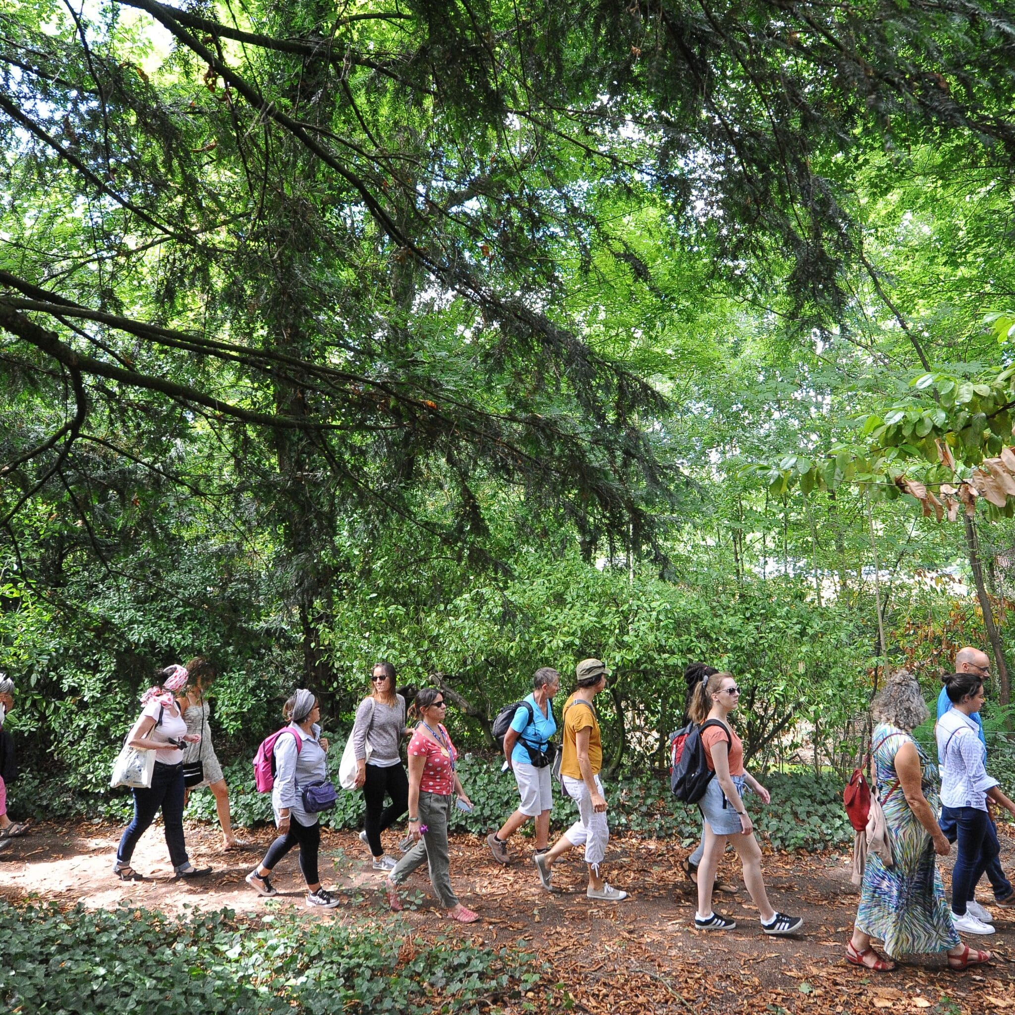 Découverte olfactive du parc