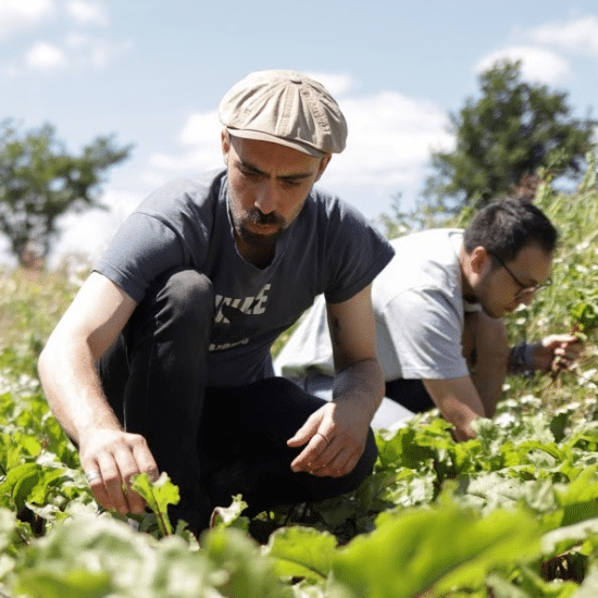 Conférence : Vivre à la campagne, les champs du possible ?