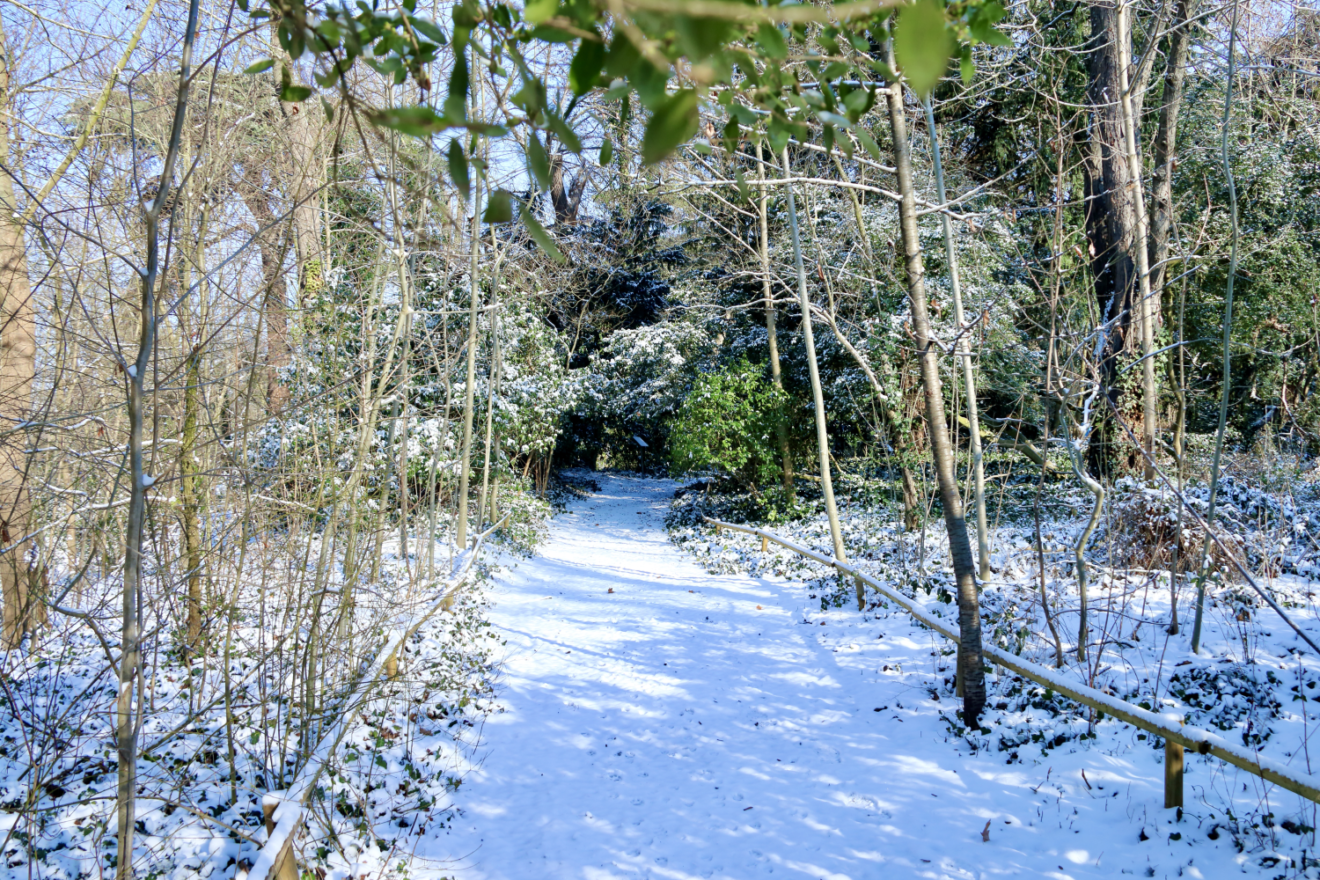 promenadesurlesentierensousbois