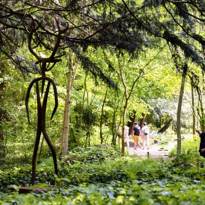 Atelier enfant - Découvrez les arbres du parc de la Fondation