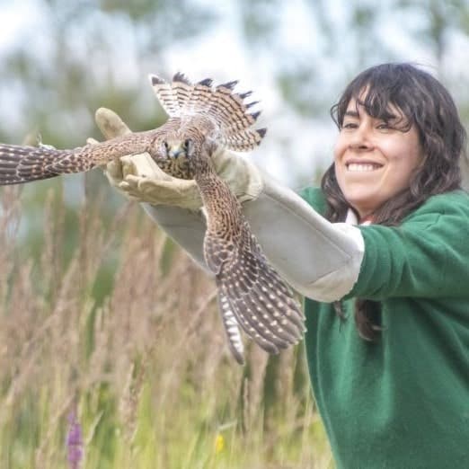 Atelier : gestes de 1ers secours pour animaux sauvages !