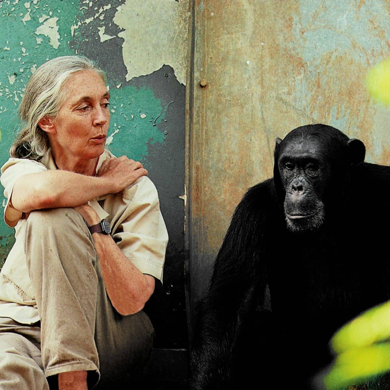 Rencontre avec Jane Goodall