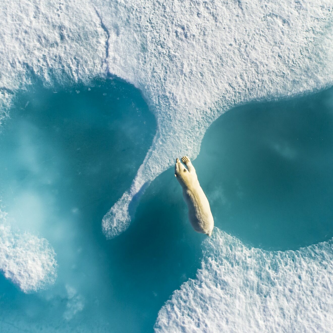 Photo-conférence : l'Arctique avec Florian Ledoux