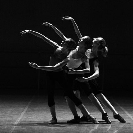 La Fabrique de la danse interprète le Vivant !