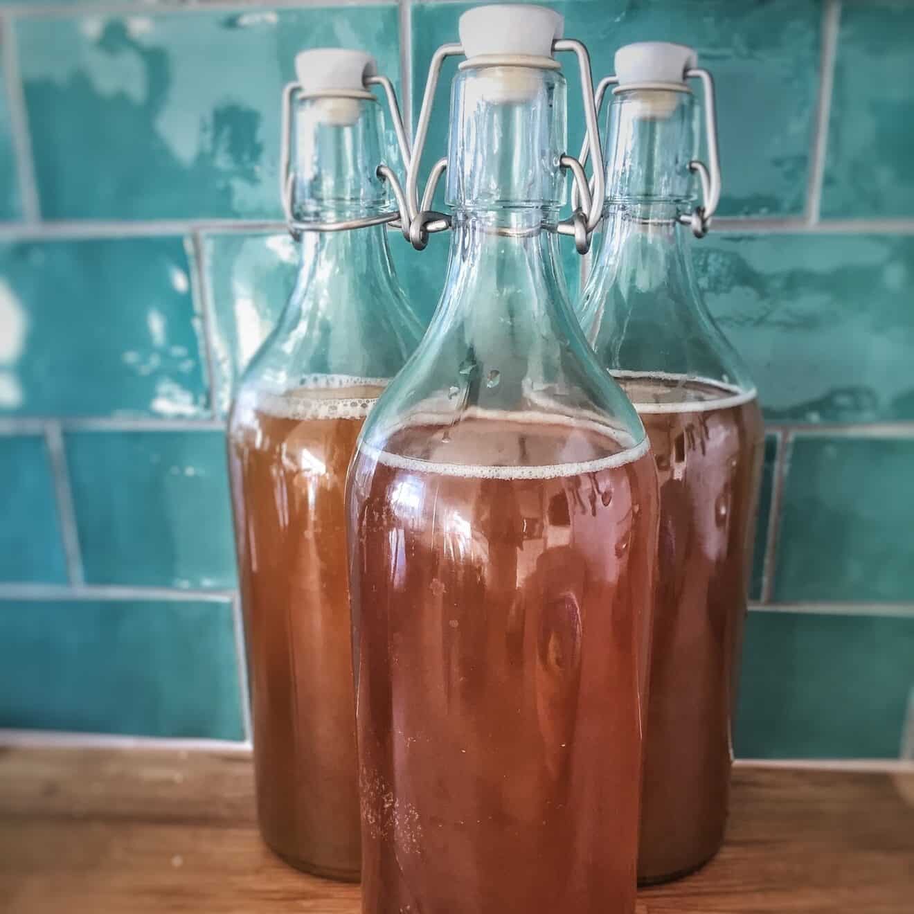 kombucha-gfe78901df_1920