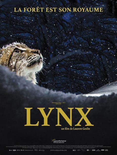 Film Lynx