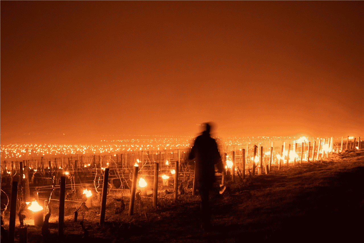 les ombres de la côte d'or Thomas Derycke expo photo l'oeil du climat